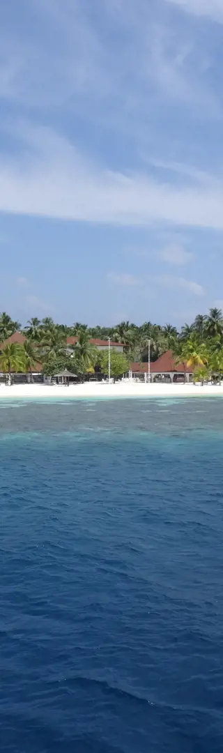 Wahl der Insel
